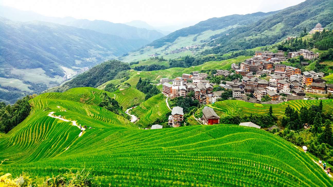 龍脊梯田
