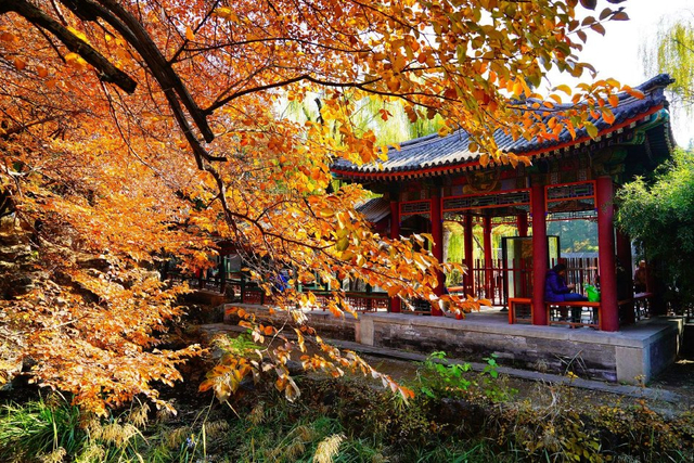 八達嶺長城(包門票)【10月中-11月中賞紅葉】 > 頤和園(仁壽殿、玉蘭堂、長廊、石舫、昆明湖) 【10月中-11月中賞紅葉、梧桐、銀杏】