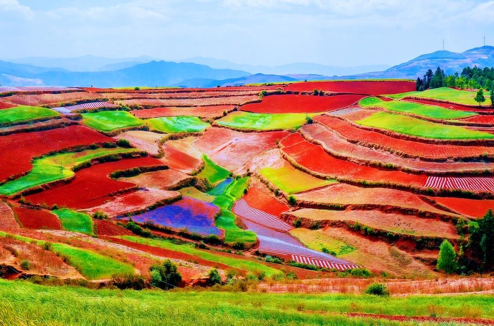 Xingyi > Yunnan "Luoping" > Experience the magnificence of waterfalls 【Jiulong Waterfall Group Scenic Area】 (Includes entrance ticket + *Electric bamboo raft and sightseeing car) > Photographer's paradise "Dongchuan Red Land" 【Lepu'ao Terraced Fields, Jinxiuyuan Colorful Slope】 > Yunnan "Xundian"：Dongchuan Red Land