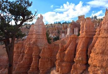 Yunnan "Xundian" > Qujing > The Fantastical Sand Painting World Created by Nature 【Luliang Colorful Sand Forest】 (Including Transfer Vehicle) > Mile > The Landmark Building of Honghe Water Town 【King Qian's Gate】：Luliang Colorful Sand Forest - Sand Pillar Forest