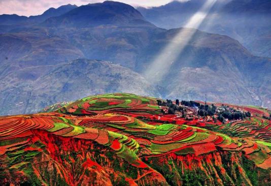 Xingyi > Yunnan "Luoping" > Experience the magnificence of waterfalls 【Jiulong Waterfall Group Scenic Area】 (Includes entrance ticket + *Electric bamboo raft and sightseeing car) > Photographer's paradise "Dongchuan Red Land" 【Lepu'ao Terraced Fields, Jinxiuyuan Colorful Slope】 > Yunnan "Xundian"：Dongchuan Red Land - Lepu'ao Terraced Fields