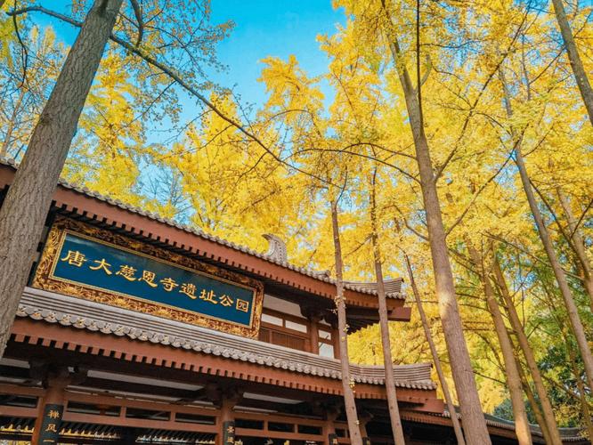 唐大慈恩寺