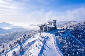 Hong Kong ✈ Incheon Airport > (approx. 2.5-hour drive) Yongpyong Resort:View Yongpyong Ski Resort from the mountaintop, where sea of clouds and snow peaks overlap into a scenic vista