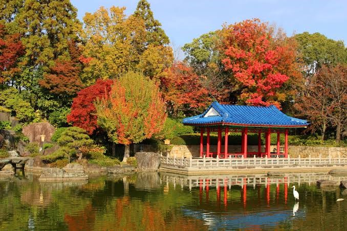 大仙公園
