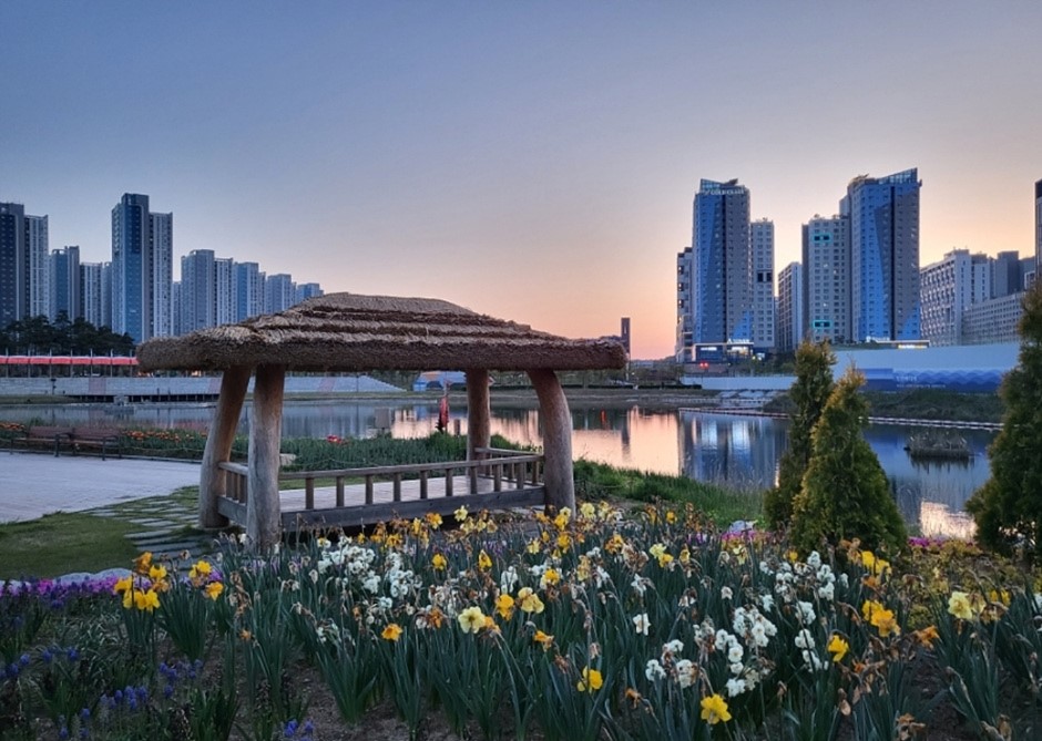 青羅中央湖公園