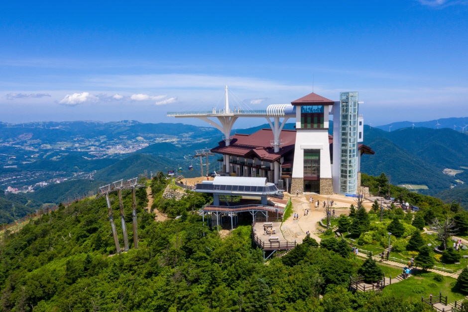 龍平發王山
