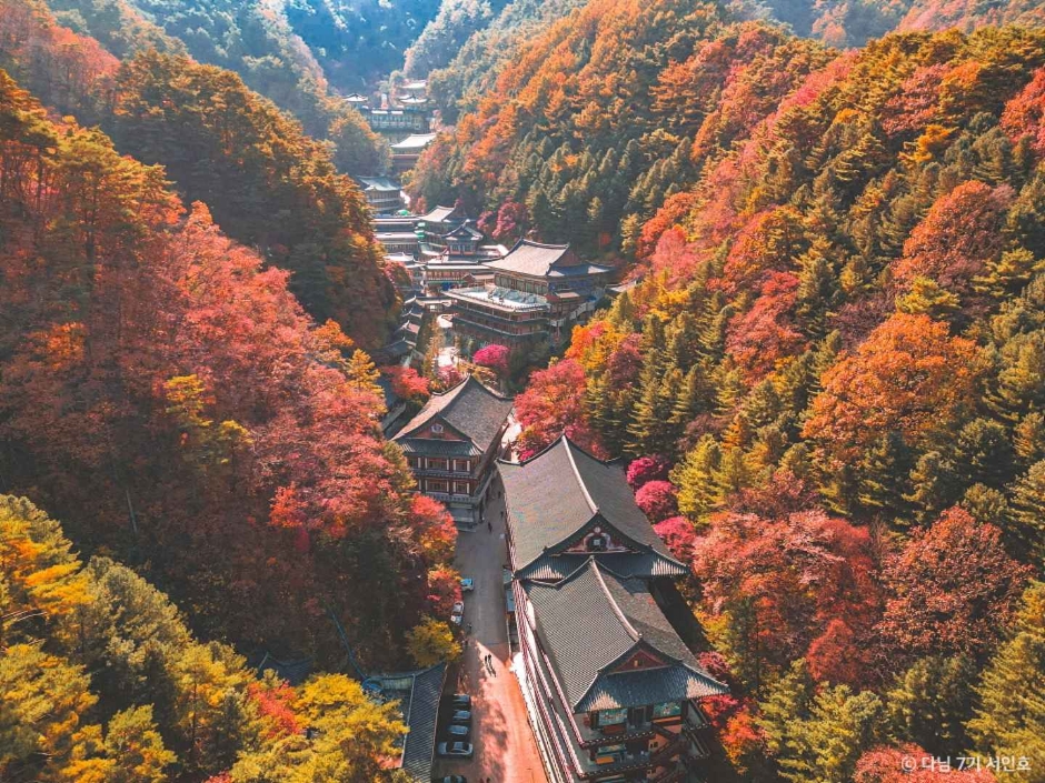 救仁寺