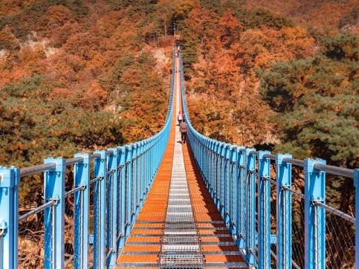 小金山懸索吊橋