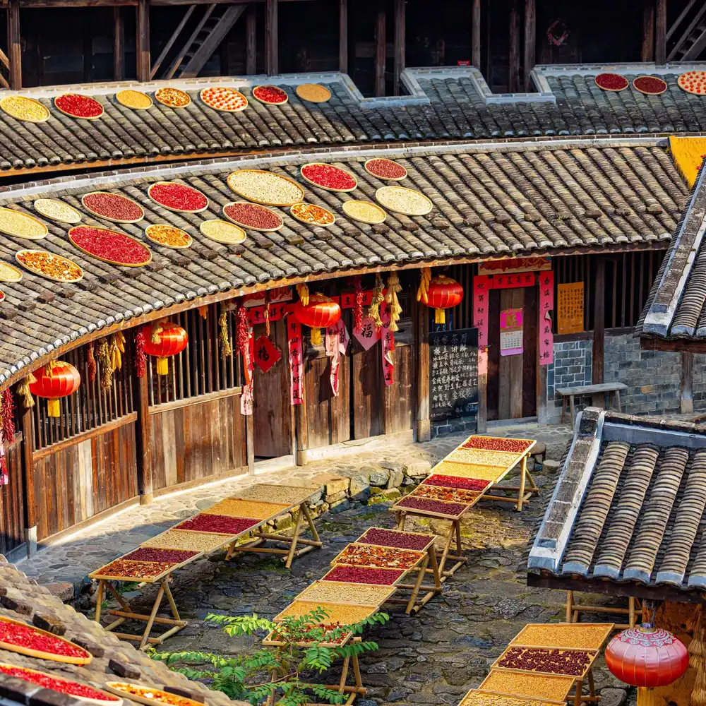 Chuxi Tulou Autumn Harvest Drying