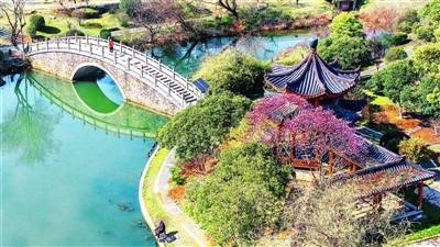 南昌 > 八大山人梅湖景區 > 南昌站 > (乘高鐵) 深圳站 > (乘地鐵)福田口岸解散 (車次時間及班次,安排僅作參考之用:G2765 14:35/19:05):八大山人梅湖景區