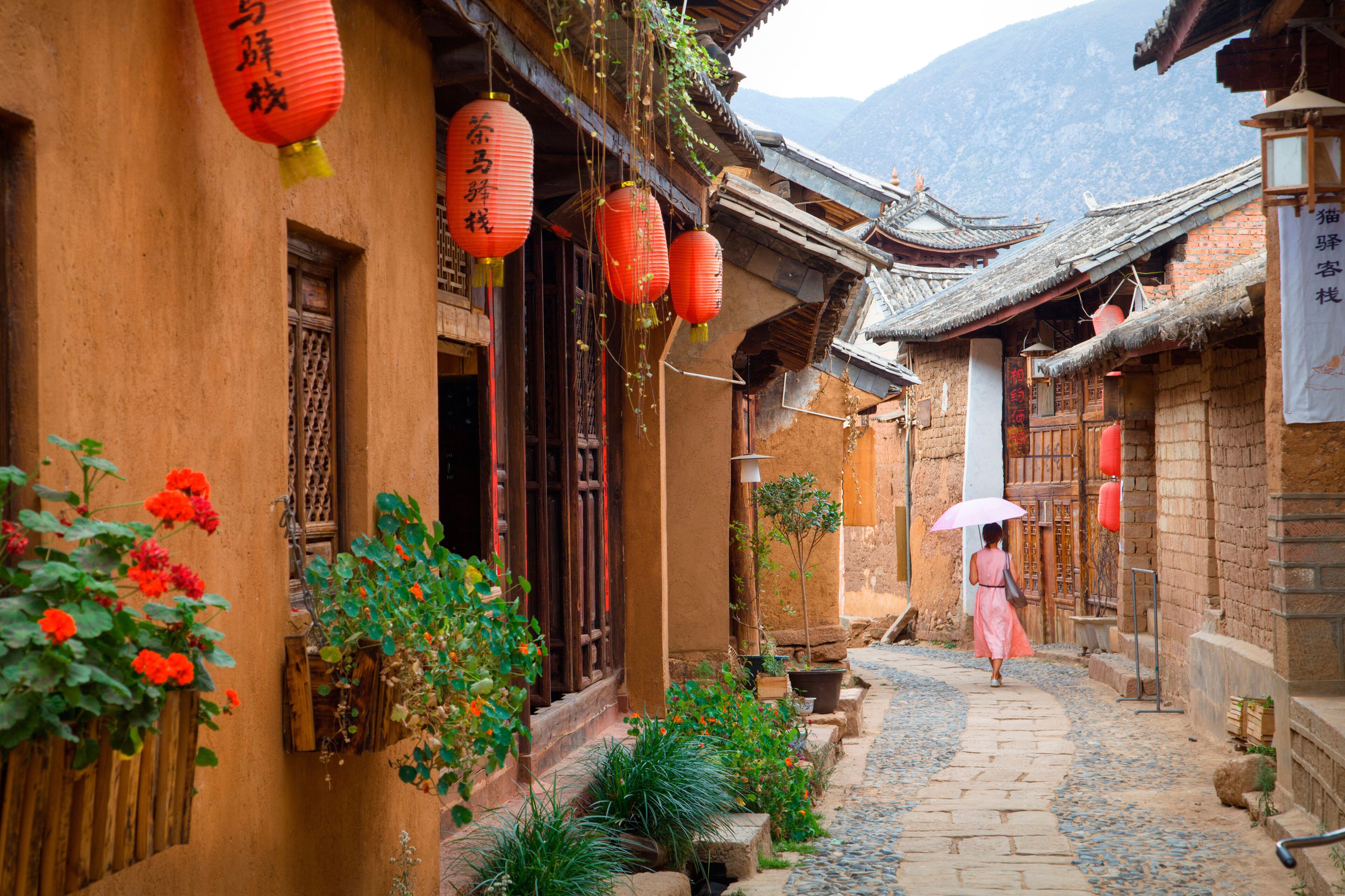 大理 > 崇聖寺三塔(包電瓶車) > 大理古城 、 紅龍井 > 蝴蝶泉景區、體驗林中采菌野趣 (包采菌250g/人)